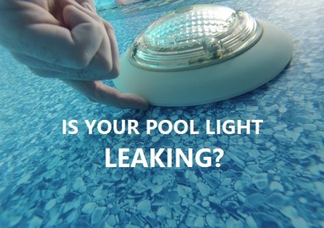 Leaking Pool Light Repair Pool Plumbing, Swimming Pool Maintenance, Inside Pool, Led Pool Lighting, Pool Repair, Electrical Conduit, Leak Repair, Pool Lights, Concrete Pool