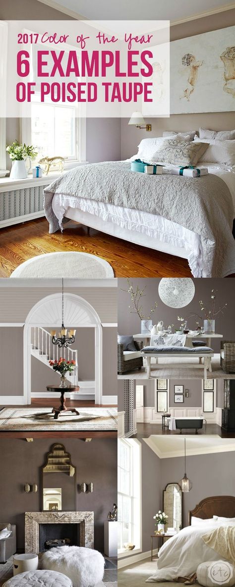 2017 Color of the Year, 6 examples of poised taupe Poised Taupe, Taupe Bedroom, Taupe Walls, Perfect Paint Color, Year 6, Bedroom Paint Colors, Bedroom Paint, Blue Bedroom, Color Of The Year