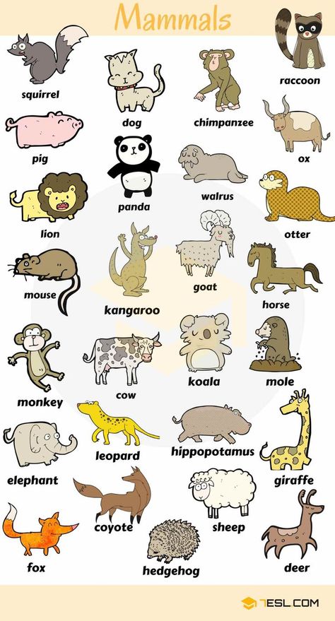 English Vocabulary: Learn Animal Names Animals Name In English, Animals Name, Animal Names, Learning English For Kids, English Vocab, Kids English, List Of Animals, English Language Teaching, English Lessons For Kids