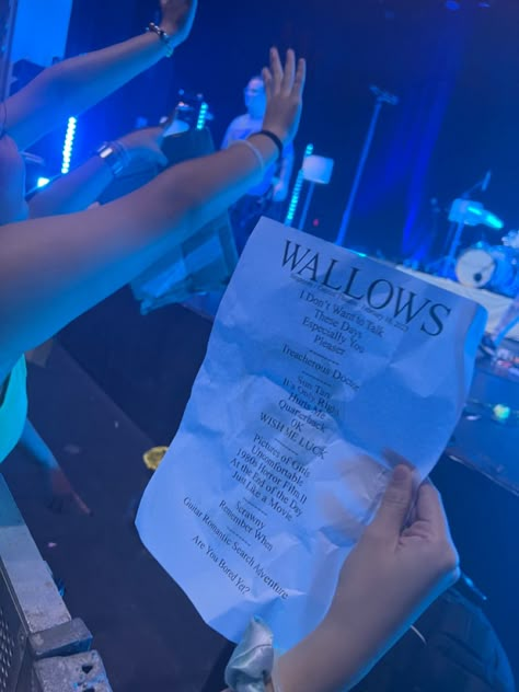 wallows, wallow, concert, setlist, party, band, sing, dance, life, excitement The Wallows Concert Outfit, Wallows Concert Aesthetic, Wallows Model, Wallows Concert Outfit, Wallows Concert, Concert Signs, Cole Preston, Are You Bored, Concert Aesthetic