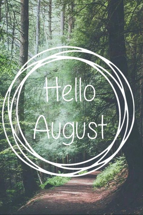 Hello August Images, Gif Hello, August Pictures, August Images, August Wallpaper, Tumblr Photos, Dad In Heaven, Hello August, Disney Instagram