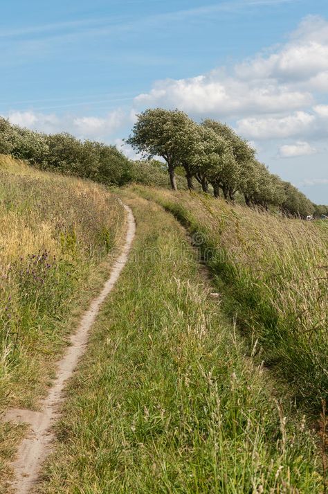 Narrow sandy path upwards. In the tall grass a narrow sandy path leads up to the , #AFFILIATE, #path, #tall, #Narrow, #sandy, #leads #ad Narrow Landscape, Narrow Path, Minimalist Business Cards, Flower Paintings, Minimalist Business, Colorful Landscape, Landscape Photos, Card Templates, Flower Painting