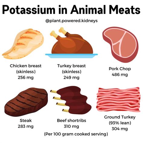 Low Potassium Meats & Fish for a Renal Diet (This will shock you!) Low Potassium Meats, Renal Recipes, Kidney Healthy Foods, Kidney Friendly Recipes Renal Diet, Food For Kidney Health, Low Potassium Recipes, Healthy Kidney Diet, Low Potassium Diet, Low Protein Diet