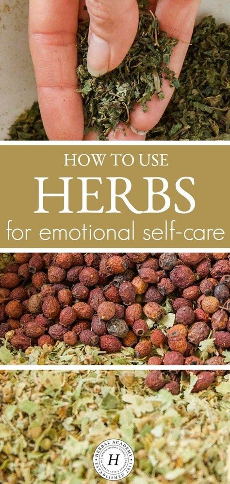 Spiritual Heart Medicine: How To Use Herbs for Emotional Self-Care | Herbal Academy | Tending to emotional self-care, or the spiritual heart, is necessary for overall vitality. Here are some herbs and recipes to help you get started. Heart Medicine, Spiritual Heart, Herbal Academy, Natural Healing Remedies, Diy Remedies, Cold Home Remedies, Herbs For Health, Natural Therapy, Natural Diy