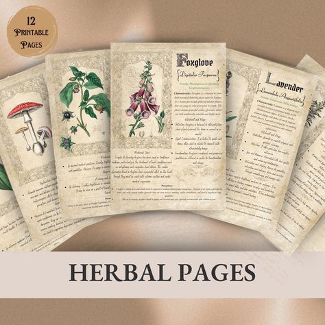 Herbal Pages, Botanical Herbs, Grimoire Pages, Book of Shadow, Herbal Magic, Printable Witchcraft by Rariity on Etsy Botanical Herbs, Grimoire Pages, Personal Journal, Book Of Shadow, Herbal Magic, Personalized Journal, Book Of Shadows, Google Drive, Beauty Book