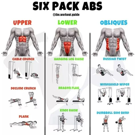 Abs Workout With Dumbbells, Workout Gym Routine, Gym Workout Guide, Best Gym Workout, Workout Program Gym, Gym Workout Planner, Bodybuilding Workout Plan, Gym Workout Chart, Abs Workout Gym