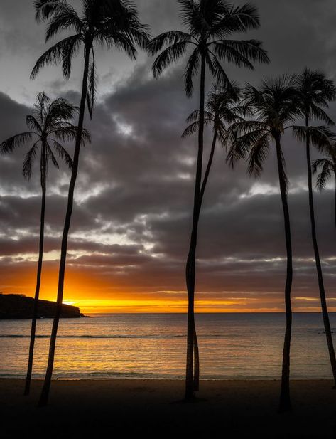 Danny Hale Sunrise Hawaii, Do What You Like, Honeymoon Travel, Hawaiian Islands, Beach Scenes, Nature Pictures, Dream Vacations, Nice View, Sunrise Sunset