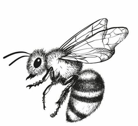 Bee Tattoo Drawing, Vintage Bee Tattoo, Honeybee Tattoo, Honey Bee Drawing, Honey Bee Tattoo, Animal Tattoo Ideas, Bee Drawing, Kunst Tattoos, Insect Tattoo