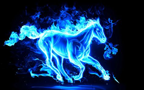 Download wallpapers blue neon horse, creative art, blue smoke, blue flame, horses, neon art, neon horse silhouette Fire Animals, Ice Horse, Horse Wallpapers, Hologram Video, Graphics Wallpaper, Fire Horse, Light Wallpaper, Mystic Moon, Hd Wallpaper 4k