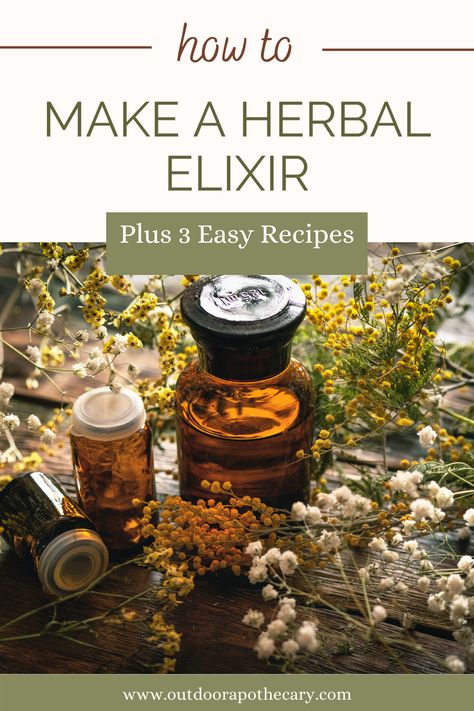 Growing Herbs Inside, Elixir Recipe, Herbal Elixir, Dried Lemon, Herbal Tinctures, Herbal Recipes, Herbs For Health, Wild Food, Medicinal Herbs