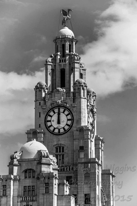 Royal Liver Building - Liverpool UK Liverpool City Photography, Liverpool Architecture, Liverpool Street Photography, Liverpool Art, Liverpool Tattoo, Old Liverpool, Liver Building, St Georges Hall, Liver Building Liverpool