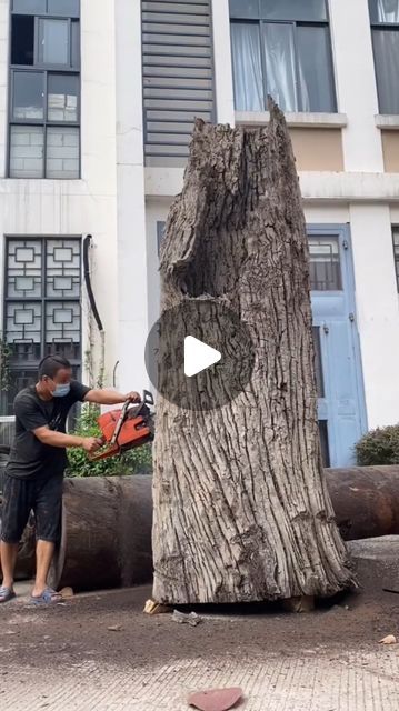 Log Art Ideas Diy Wood, Tree Carving Ideas, Tree Trunk Ideas Diy, Chinese Tree, Chainsaw Sculpture, Determined Expression, Chainsaw Wood Carving, Wood Carving Art Sculpture, Chinese Warrior