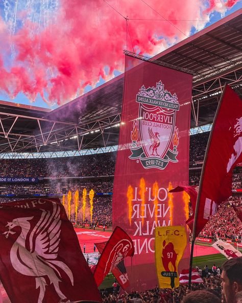 Liverpool Coldest Photos, Liverpool Aesthetic Football, Premier League Aesthetic, Lfc Aesthetic, Liverpool Fc Aesthetic, Liverpool Pfp, Liverpool Aesthetic, Liverpool Football Team, Liverpool Stadium