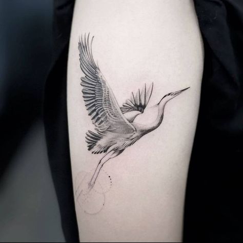 Eastern Blue Bird Tattoo, Great Blue Heron Tattoo Traditional, Blue Herring Tattoo, Grey Heron Tattoo, Blue Heron Tattoo, Stork Tattoo, Free Like A Bird, Paper Crane Tattoo, Heron Tattoo