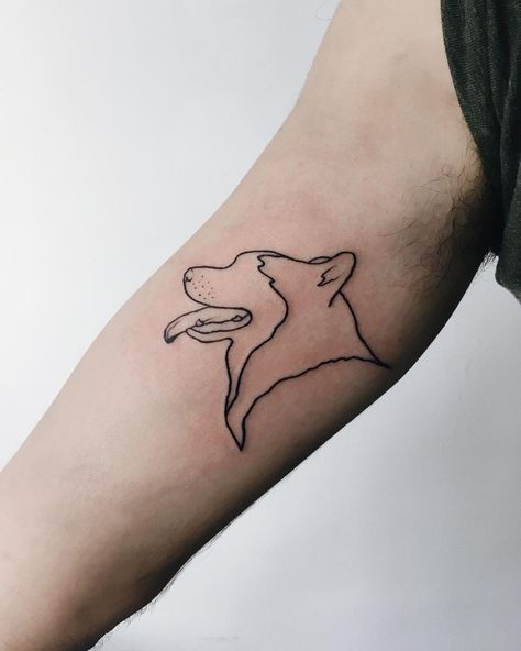 Inês ✨ on Instagram: “O Newton no @fabriziododat • • • • #firsttattoo #tattooaprentice #tattoo #tattoos #dogtattoo #huskytattoo #linetattoo #tattooline…” Alaskan Malamute Tattoo Ideas, Husky Tattoo Outline, Sled Dog Tattoo, Minimalist Husky Tattoo, Fine Line Husky Tattoo, Two Dog Tattoo, Husky Outline Tattoo, Alaskan Malamute Tattoo, Husky Tattoo Simple