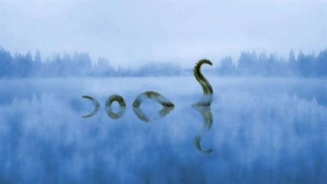 The Legend of Loch Ness Locness Monster Drawing, Nessie Tattoo, Lockness Monster, Lock Ness Monster, Lochness Monster, Water Dragons, The Loch Ness Monster, Lake Monsters, Monster Drawing