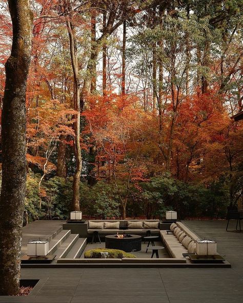 Autumn's fast approaching and theres no better time for a cozy getaway. Witness the fall foliage from the comfort of your hotel room or on a stroll around the colourful grounds. Beautiful hotels for an unforgettable autumn escape: 1. @aman_kyoto ,Kyoto , Japan 2. @fairmontcll , Lake Louise, Canada 3. @twinfarms , Vermont, United States 4. @heckfield_place , Hampshire, UK 5. @stregisaspen , Aspen, United States Which one would you choose? #VirtuosoTravel #SoVirtuoso Aman Kyoto, Lake Louise Canada, Hampshire Uk, Lake Louise, Beautiful Hotels, Kyoto Japan, Hotel Room, Fall Foliage, Hotels Room