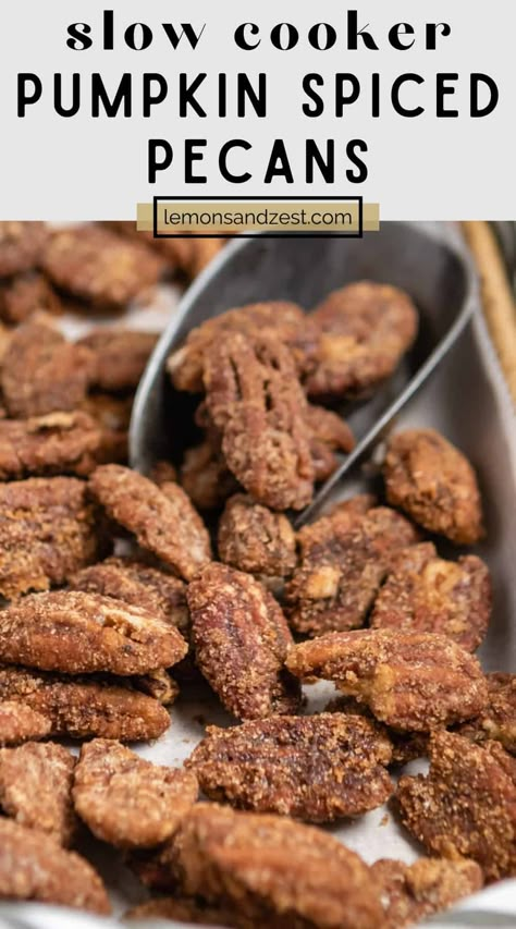 Slow Cooker Candied Pecans, Cozy Autumn Food, Slow Cooker Pecan Clusters, Pumpkin Spice Candied Pecans, Crockpot Sugared Pecans, Slow Cooker Nuts Recipes, Slow Cooker Chocolate Caramel Pecan, Crock Pot Pecans Candied, Slow Cooker Candy