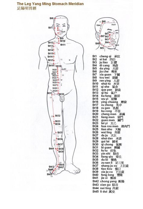 Gall Bladder Meridian, Stomach Meridian, Bladder Meridian, Acupuncture Points Chart, Gallbladder Cleanse, Polarity Therapy, Meridian Points, Gall Bladder, Shiatsu Massage