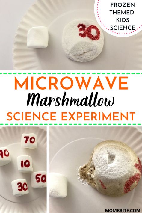 What will happen to a marshmallow when you microwave it for 10 seconds? 20 seconds? 50 seconds? Conduct a super simple yet fun science experiment with your kids in the kitchen with this Marshmallow In The Microwave science activity! #KidsScienceExperiment #FunFoodScienceForKids #EducationalKidsScienceActvities Science Prek, Science Ideas For Kids, Diy Summer Camp, Kitchen Science Experiments, Science Fair Ideas, Kitchen Science, Preschool Science Activities, Simple Science, Science Experiments For Kids