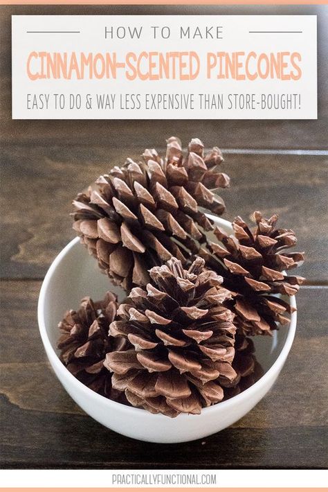 How To Dry Pinecones, Cinnamon Scented Pinecones, Paint Pinecones, Cinnamon Pinecones, Scented Pine Cones, Cinnamon Scent, Diy Cinnamon, Scented Pinecones, Potpourri Recipes