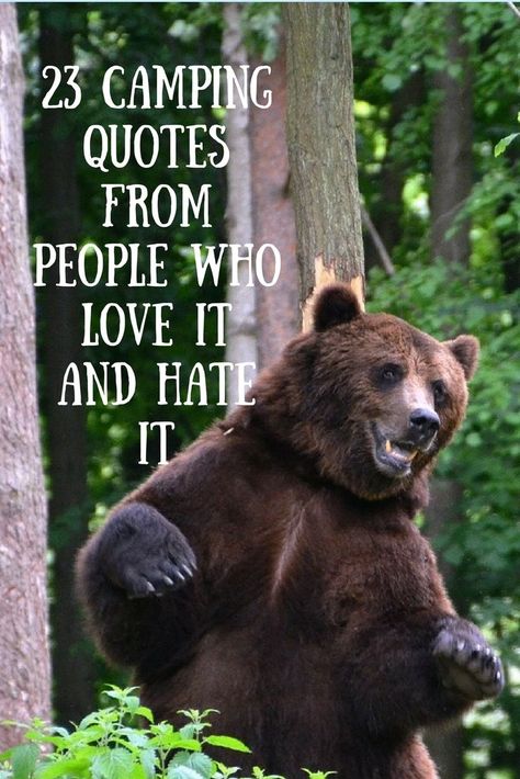 23 camping quotes - love it or hate it | 203Challenges Rv Quotes, Camp Quotes, Camper Awnings, Camping Store, Quotes People, Camping Storage, Camping Quotes, Camping Photography, Love Or Hate