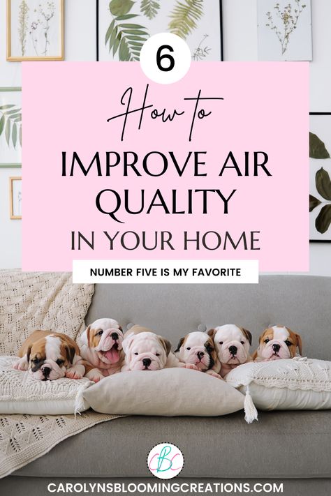 How To Improve Air Quality in Your Home Blue Ceiling Paint, Home Ventilation, Polluted Air, Haint Blue, Diy Home Improvements, Tropical Bedrooms, Improve Indoor Air Quality, Couch Cushion, Organized Living