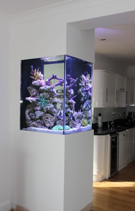 Fish Tank Wall, Custom Aquarium, Wall Aquarium, Amazing Aquariums, Cool Fish Tanks, Fish Tank Design, Home Aquarium, Aquarium Accessories, Aquarium Design