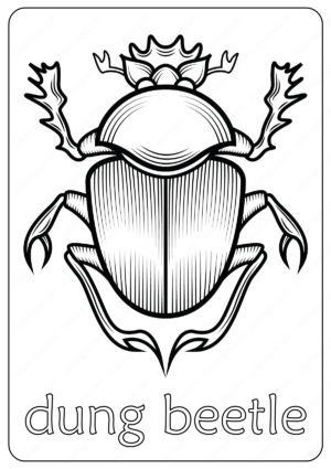 Animals Dung Beetle Coloring Pages Book 42 Rhinoceros Beetle Drawing, Dung Beetle Drawing, Beetle Coloring Page, Black And White Beetle, Bug Colouring Pages, Dung Beetle Illustration, Beetle Drawing, Bug Coloring Pages, Dung Beetle