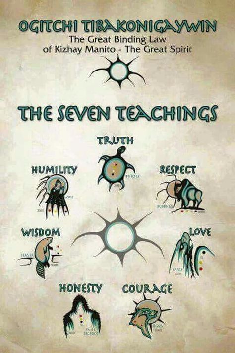 Seven Teachings, Native American Spirituality, American Quotes, Native American Wisdom, Native American Symbols, Native American Quotes, American Symbols, Medicine Wheel, Native American Peoples