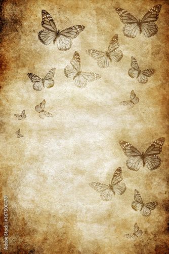 Brown Scrapbook Paper, Vintage Paper Background Texture, History Background, Vintage Paper Textures, Parchment Background, Old Paper Background, Vintage Paper Background, Scrapbook Printing, Butterfly Background