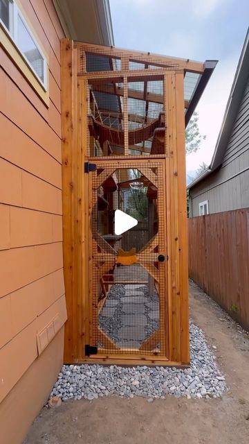 Catio Ideas For Cats Outdoor, Cat Highway Ideas, Cats House Ideas Outdoor, How To Build An Outdoor Cat House, Outdoor Cat Space, Cat Inclosers Outside, Basement Window Catio, Catio Ideas Cat Diy, Cat Walks In House