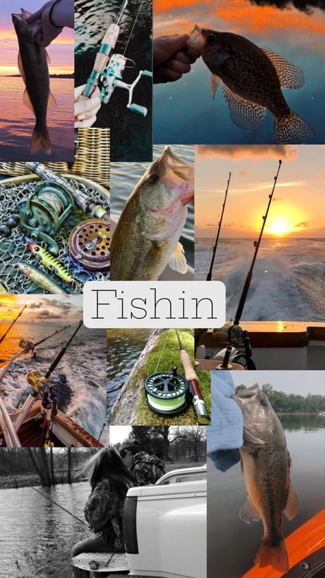 Fishinggg Fishing Collage, Country Girl Life, Girls Life, Country Girls, Fishing, Fish, Collage