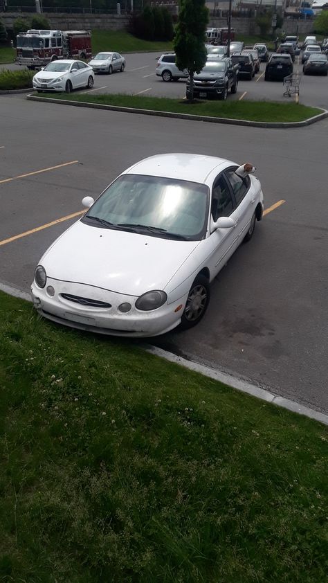 Bad parking or beautiful dog? Bad Parking, Beautiful Dog, Large Cars, Funny Fails, Beautiful Dogs, Car Parking, Bmw Car, Ruby, Cars