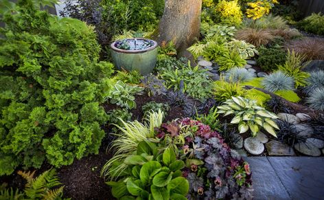 Design pro Stacie Crooks plants what she preaches in her Edmonds garden | The Seattle Times Shady Courtyard, Black Mondo, Decor Garden Ideas, Courtyard Plants, Black Mondo Grass, Gardener Aesthetic, Northwest Landscaping, Urban Garden Design, Plant Structure