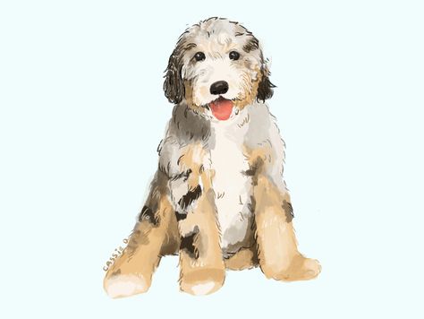 Bernedoodle by Yishi Deng Bernedoodle Drawing, Watercolor Dogs, Dog Illustrations, Paintings Ideas, Morning Meetings, House Updates, Drawing Stuff, Watercolor Dog, Water Colors