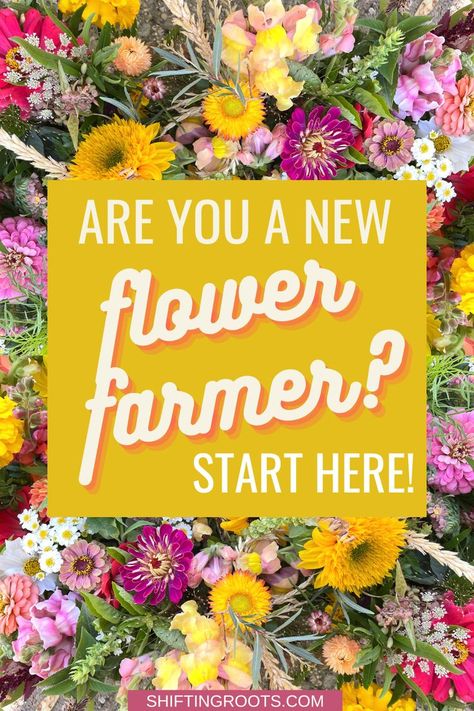 Cut Flower Business, Farmers Market Flowers, Zinnia Garden, Slow Flower, Growing Cut Flowers, Cut Flower Farm, Money Flowers, Garden Flower Beds, Flower Business