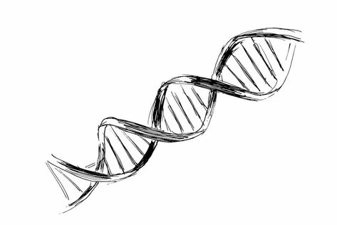 Dna Sketch, Dna Drawing, Dna Logo, Sketch Style Tattoos, Trash Polka, Tattoos For Guys, Sketch, Thing 1, Tattoos