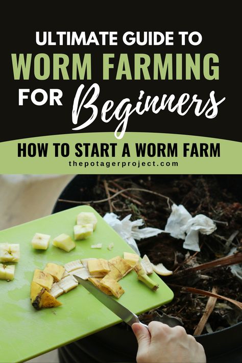 Worm Farming for Beginners Composting With Worms, Worm Beds How To Make A, How To Start A Worm Farm, Worm Farm Diy How To Make A, Diy Worm Farm, Vermiculture Worm Farm, Cricket Farm, Worm Farm Diy, Farming For Beginners