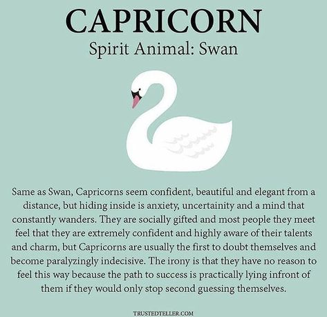 Capricorn ♑ on Instagram: “#capricorn #astrology #zodiac #zodiacsigns #horoscope #astrologymemes #horoscopes #zodiacmemes #zodiacsign #zodiacfacts #mindful…” Capricorn Spirit Animal, Capricorn Men, Capricorn Astrology, Sea Goat, Capricorn Aesthetic, Astrology Capricorn, Capricorn Girl, Capricorn Love, Capricorn Life