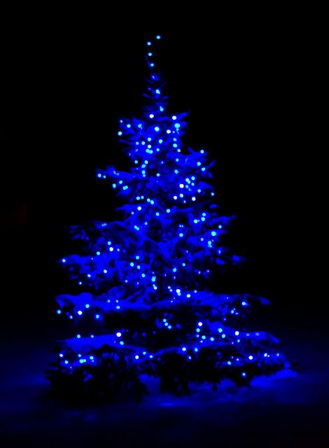 Christmas Lights Wallpaper, Blue Christmas Tree, Snow Covered Trees, Wallpaper Vintage, Noel Christmas, Feeling Blue, Love Blue, Blue Christmas, Christmas Aesthetic