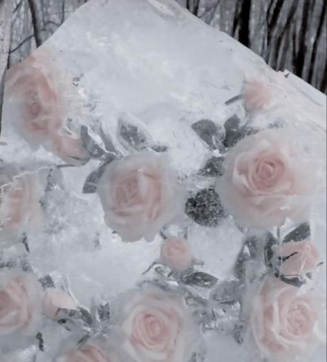 if you cross me, i'm just like my father. i am colder than titanic water.. 🌬️❄️ Ice Flower Aesthetic, Winter Rose Aesthetic, Roses Covered In Snow, Roses In Snow, Snow Wallpaper Iphone, Frozen Roses, Like My Father, Ice Aesthetic, Snow Rose