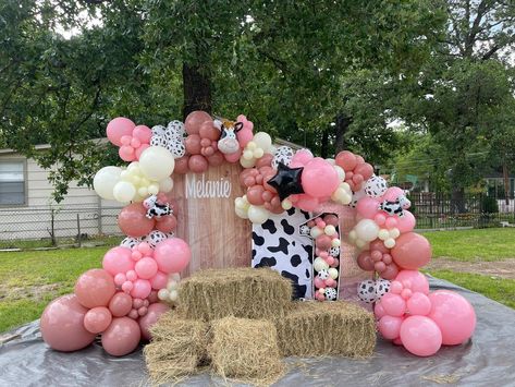 1st birthday Cowgirl One Year Old Party, Baby’s First Rodeo Birthday Theme Girl, Holy Cow Im One Birthday Girl Decor, Cowgirl 1st Birthday Party Zazzle, Cowgirl 1st Birthday Party, Cowgirl First Birthday Party, Holy Cow I’m One Smash Cake Girl, Wild West Birthday, Cow Birthday Parties