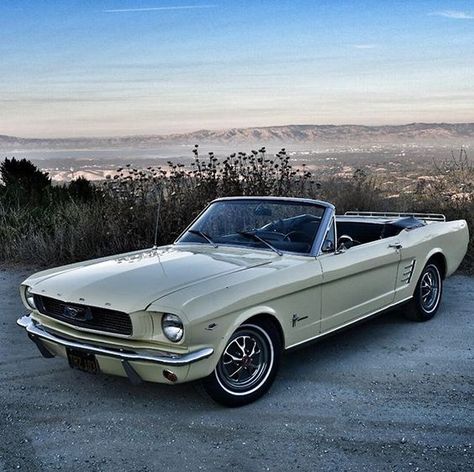 64 Mustang, 66 Ford Mustang, 66 Mustang, Old Vintage Cars, Ford Mustang Convertible, Ford Mustang Fastback, Classic Mustang, Mustang Convertible, Mustang Fastback