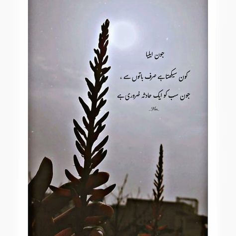 Poetry Of John Alia, Jaun Elia Best Poetry, Urdu Poetry John Elia, Jaun Elia Poetry English, Urdu Saddest Quotes, Jon Elia Poetry, Jaun Elia Poetry Urdu, Joun Elia Poetry, John Elia Poetry In Urdu