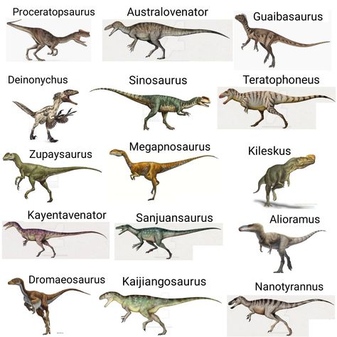 Dinosaurs Theropods 08 Theropod Dinosaur, Types Of Dinosaurs, Dinosaur Species, Prehistoric Animals Dinosaurs, Dinosaur Facts, Prehistoric Wildlife, Prehistoric Dinosaurs, Godzilla Wallpaper, Dinosaur Images