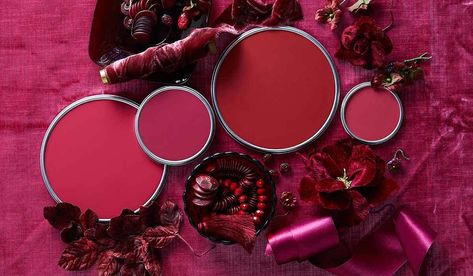 Red Paints Raspberry Color Aesthetic, Pantone Viva Magenta Color Palette, Viva Magenta Colour Palette, Majenta Color Pallete, Raspberry Red Color, Pantone Viva Magenta, Viva Magenta Color, Magenta Color, Viva Magenta