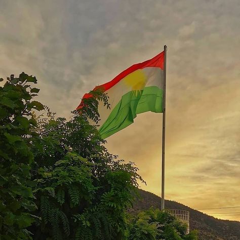 Kurdistan Flag, Brave Man, Beautiful Skin Care, Free Overlays, Ideas For Instagram Photos, Girls Cartoon Art, Kind Heart, Some Pictures, Dark Aesthetic