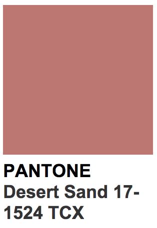 #ROSE #SPRING2016 Desert Rose Color, Esme Cullen, Material Board, Rose Orange, Inspo Board, Updating House, Color Lenses, Color Inspo, Desert Rose