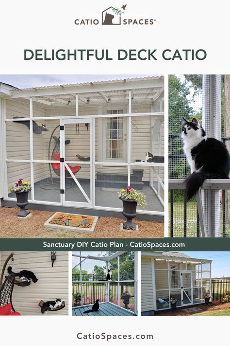 Patio Catio Ideas, Backyard With Catio, Catio Plans On Deck, Catio Building Plans, Outdoor Cat Enclosure Attached To House, Cat Porch Enclosure, Simple Diy Catios, Catio Plans Diy, Diy Catios For Cats Outside